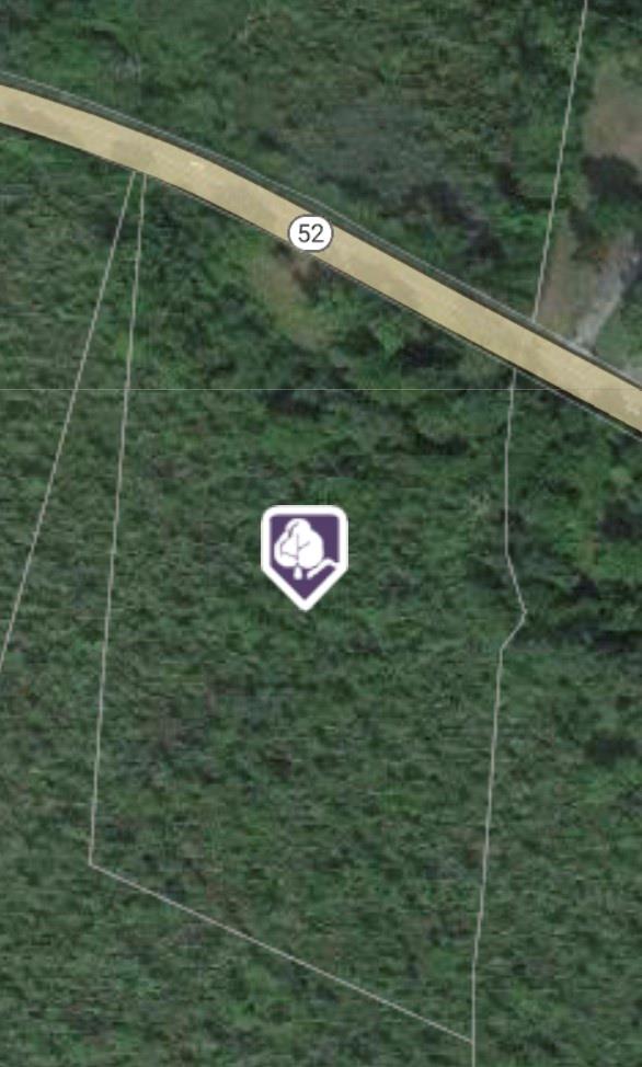 #2 photo, 2396 Route 52, Hopewell Junction , NY 12533