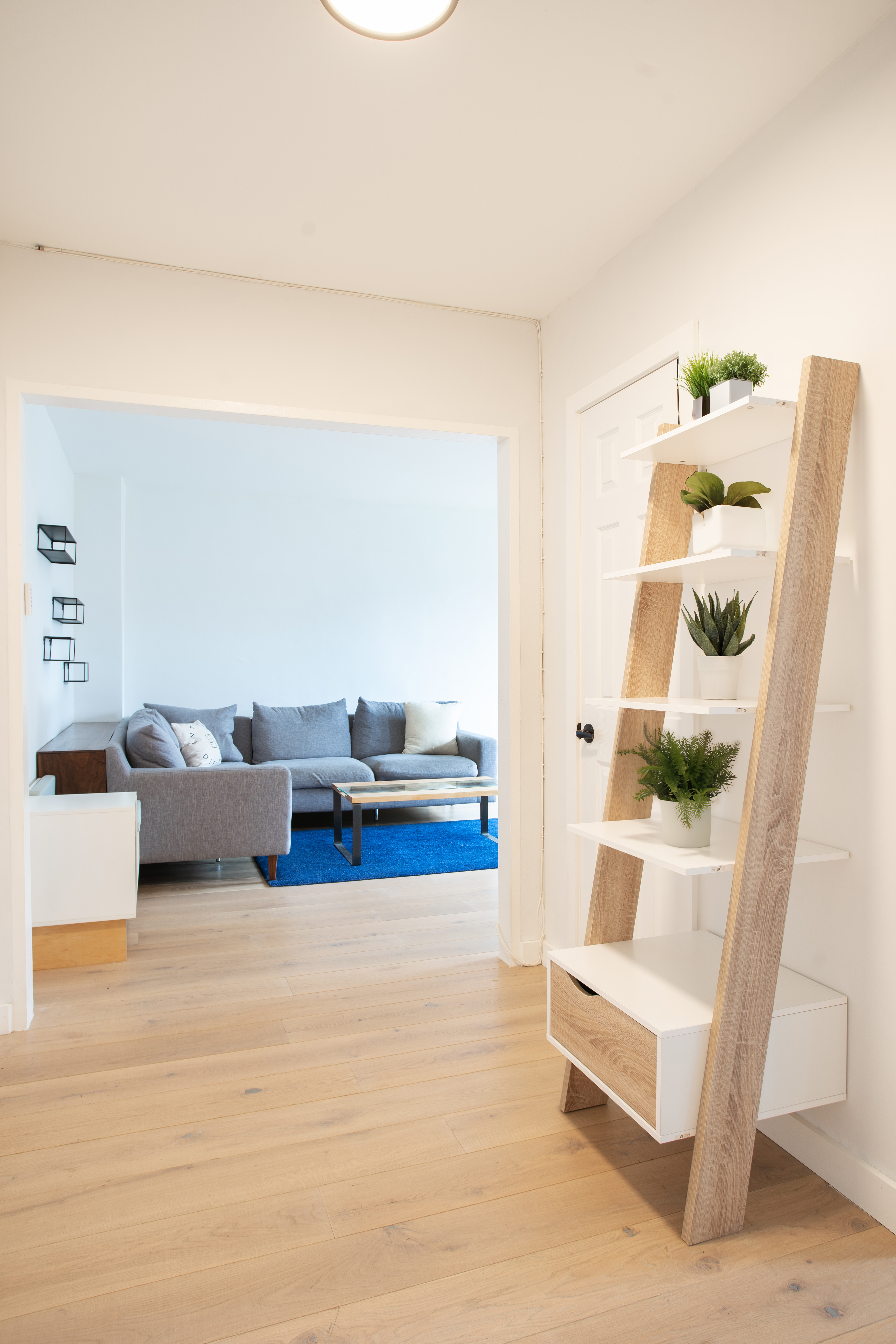 #1 photo, 191 Willoughby Street, ব্রুকলিন Downtown Brooklyn , NY 11201