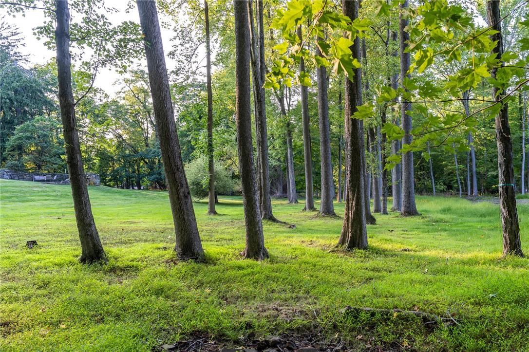 #8 photo, 219 Route 9W, Palisades , NY 10964