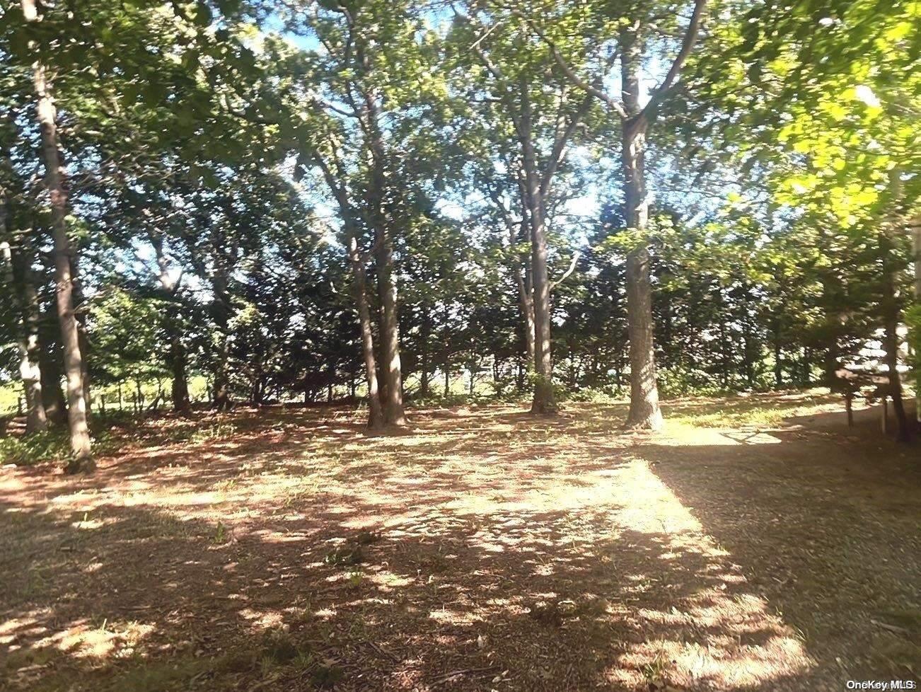 #18 photo, 18250 County Road 48, サフォーク郡 Cutchogue , NY 11935