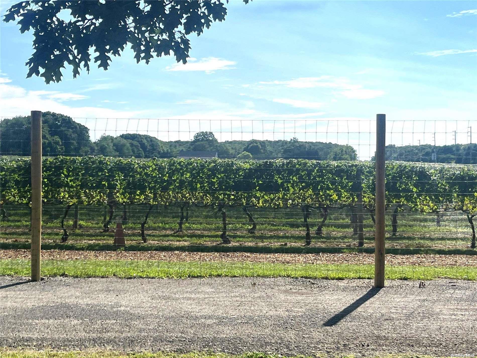 #19 photo, 18250 County Road 48, サフォーク郡 Cutchogue , NY 11935