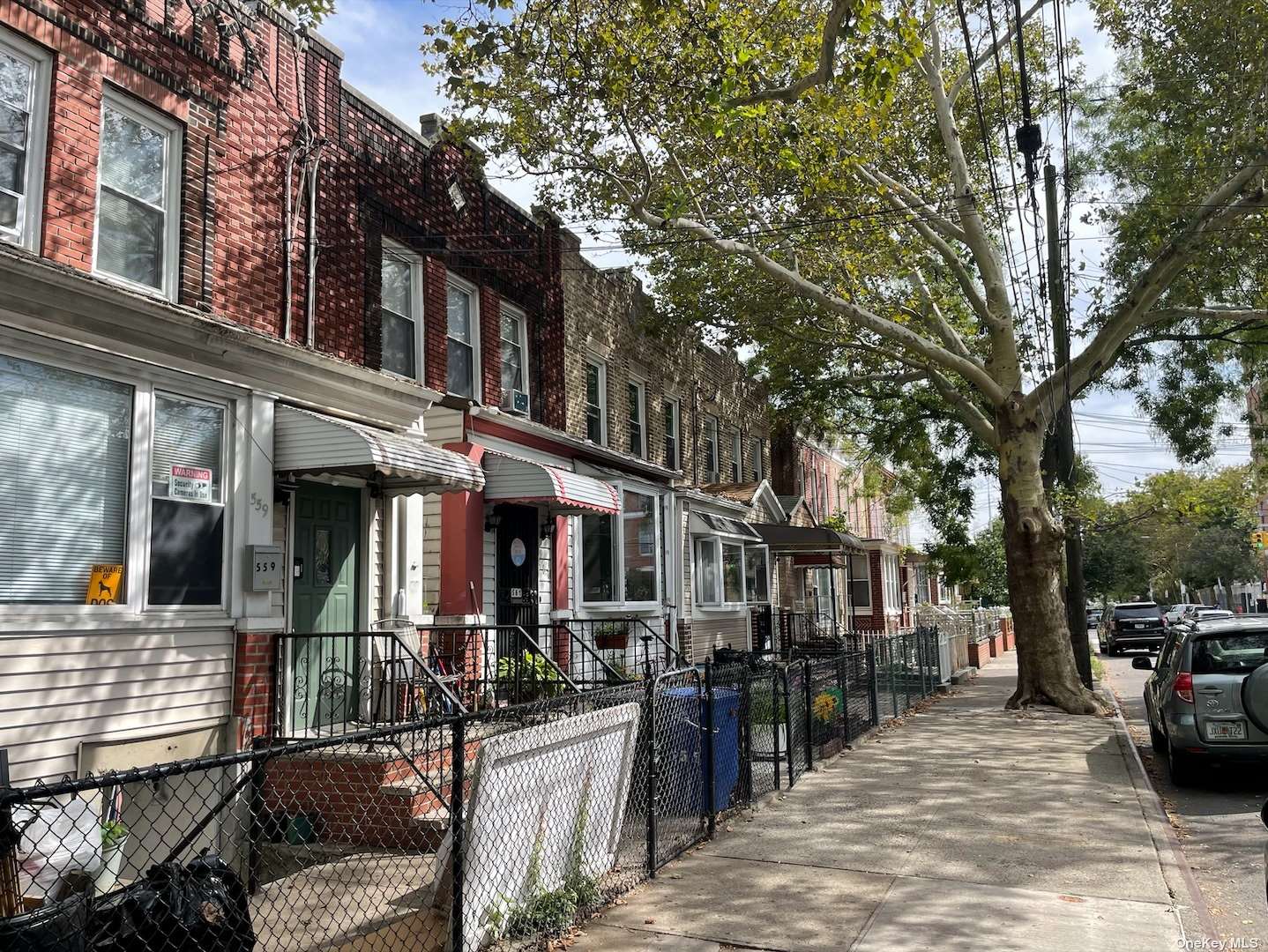 #1 photo, 559 Drew Street, 布鲁克林 Brooklyn , NY 11207