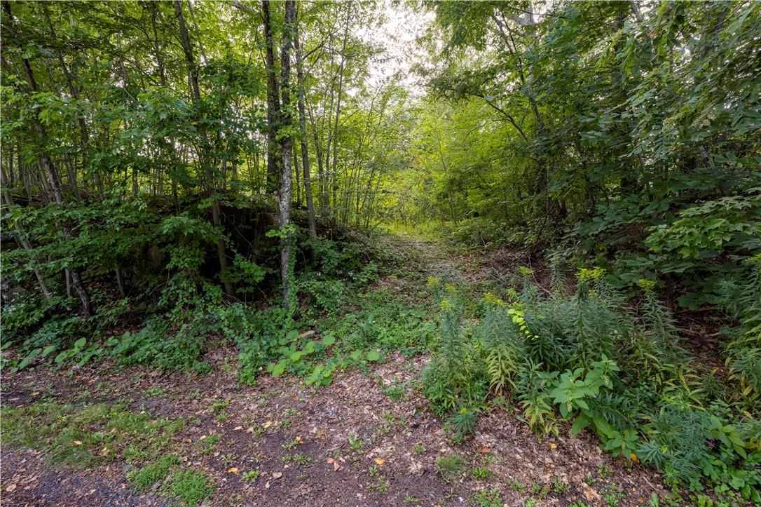 #8 photo, 10 William Way, Stormville , NY 12582