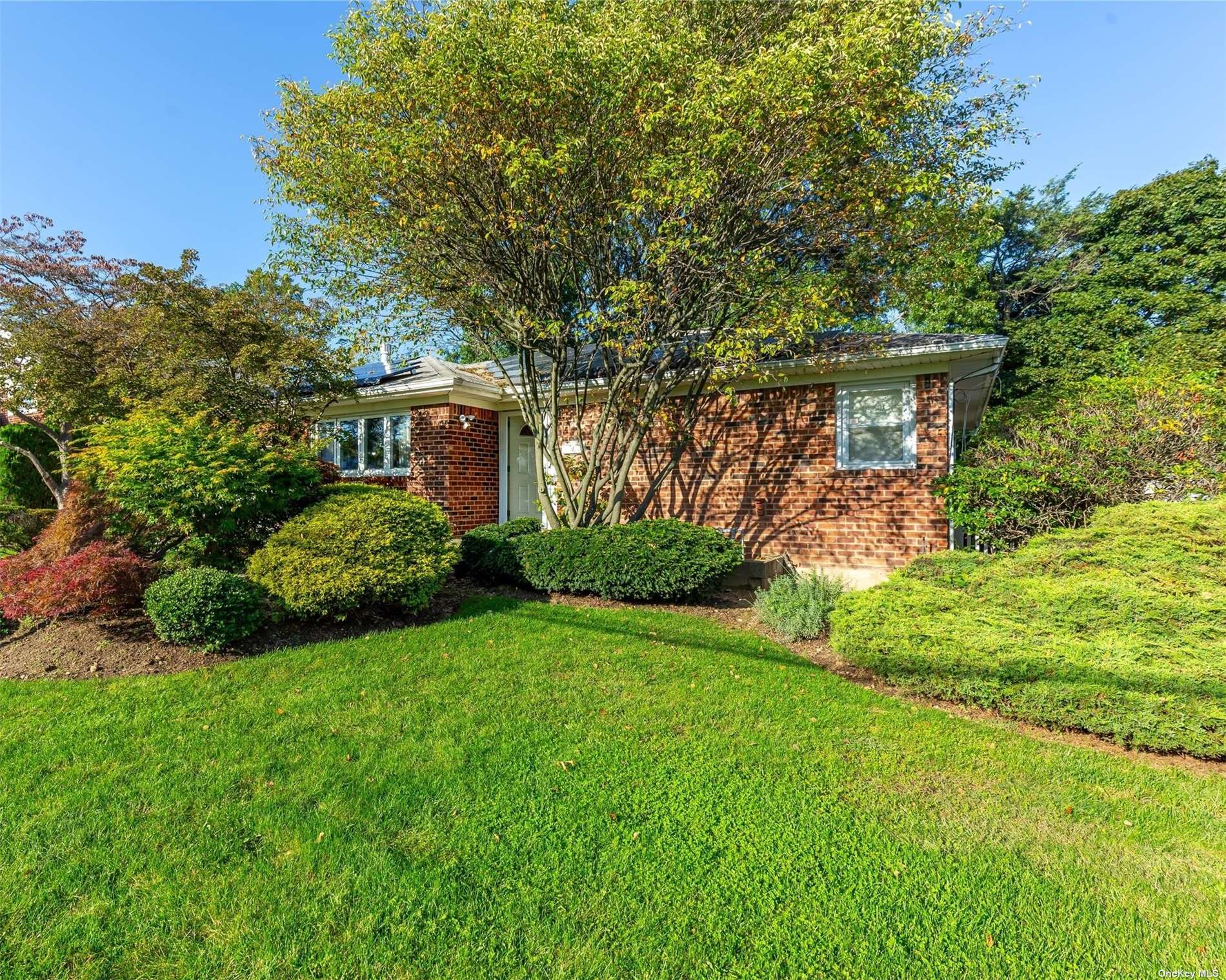 #1 photo, 50 Felice Crescent, 长岛 Hicksville , NY 11801