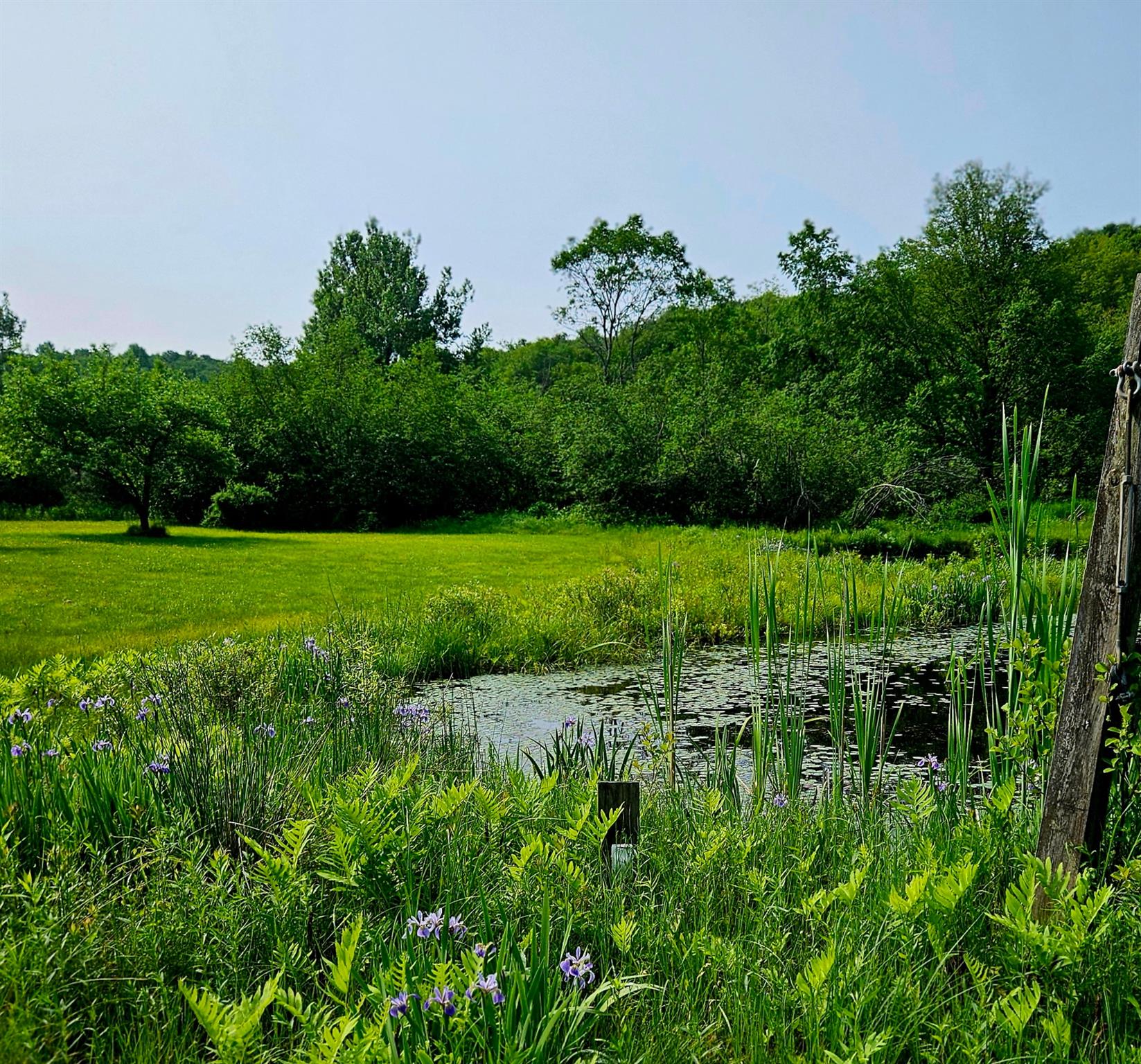 #5 photo, 141 Bonnie Brook Road, Roscoe , NY 12776