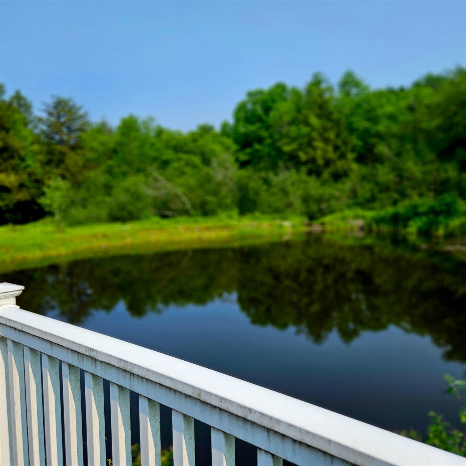 #6 photo, 141 Bonnie Brook Road, Roscoe , NY 12776