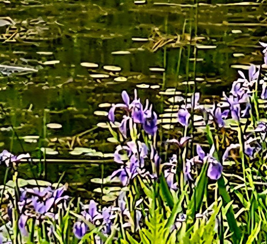 #7 photo, 141 Bonnie Brook Road, Roscoe , NY 12776