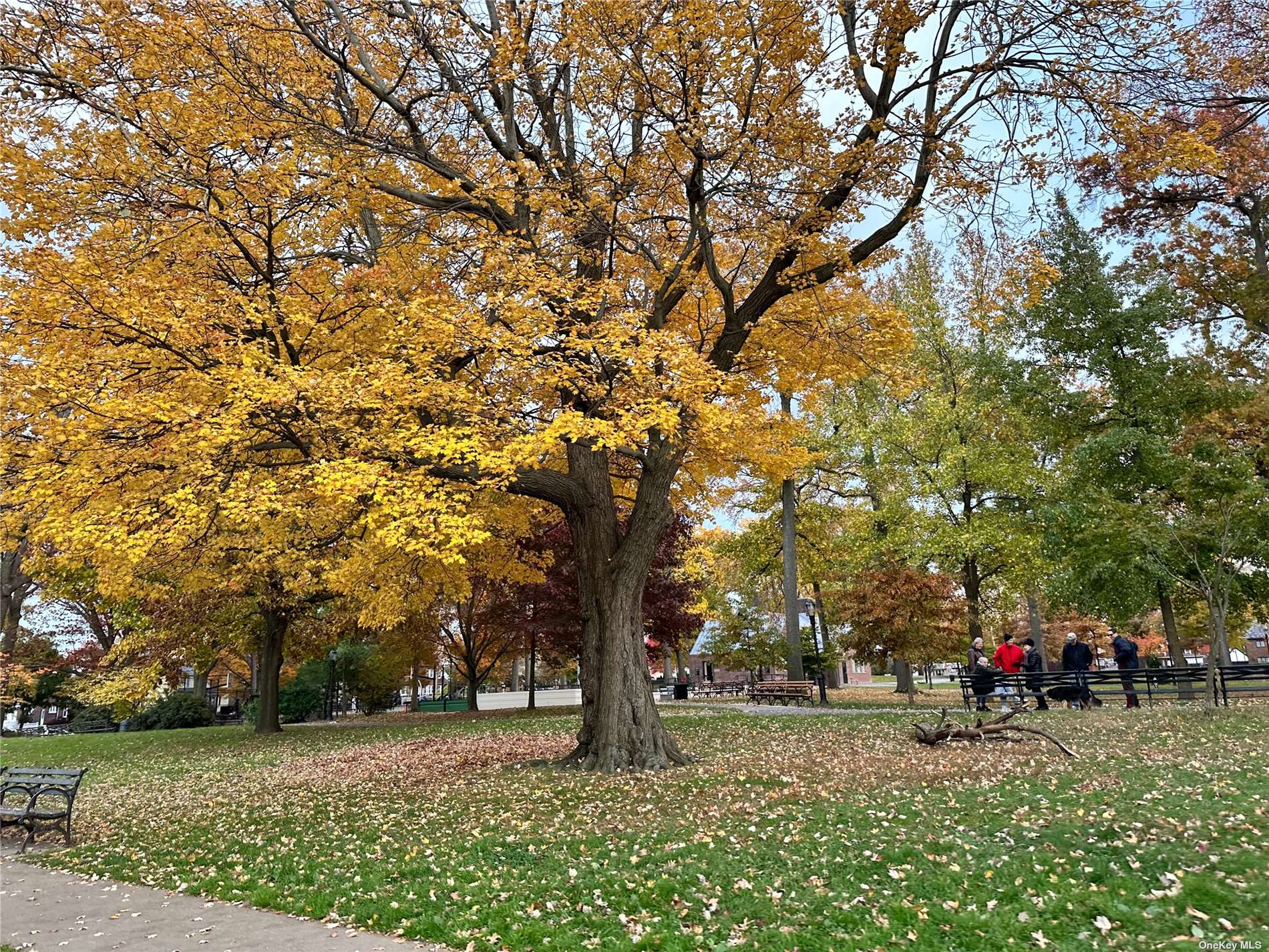 #1 photo, 147-31 38 Avenue, 法拉盛 Flushing , NY 11354