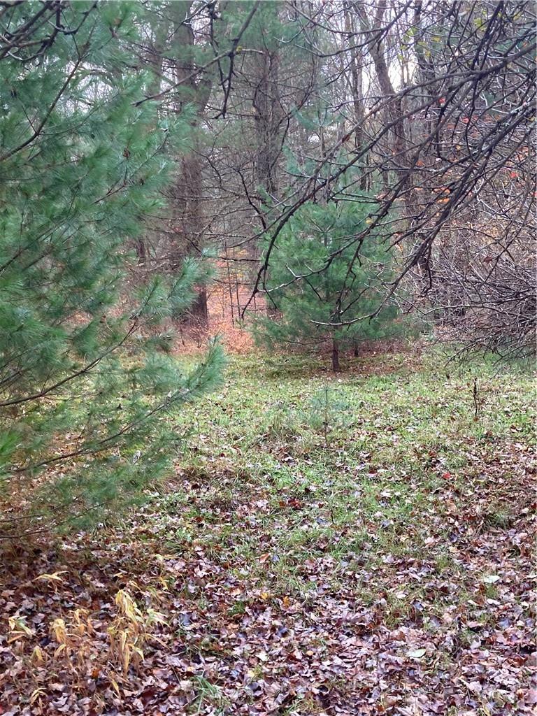 #12 photo, 140 Plank Road, Mongaup Valley , NY 12762