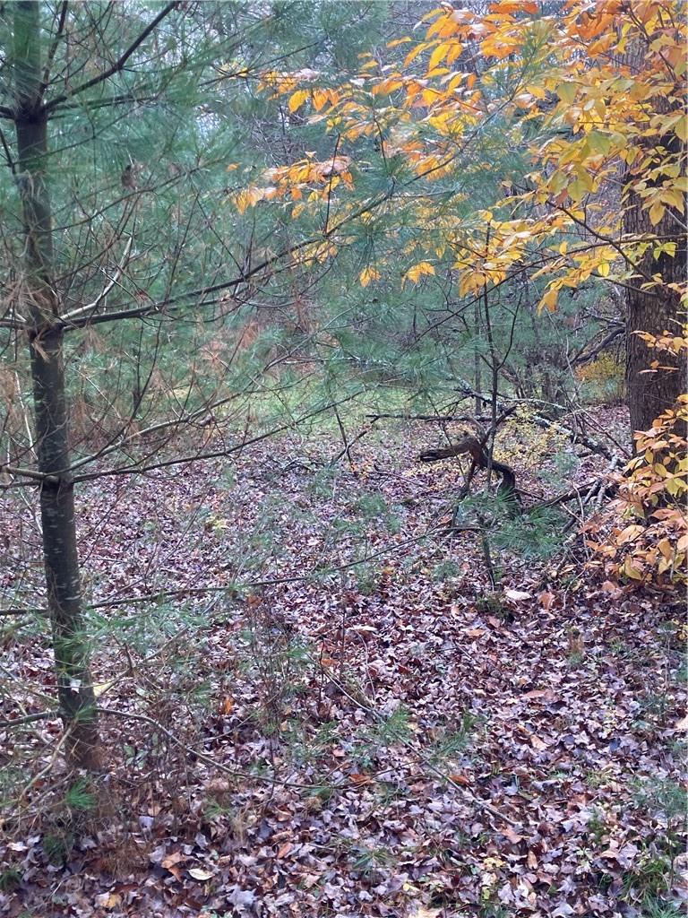 #13 photo, 140 Plank Road, Mongaup Valley , NY 12762