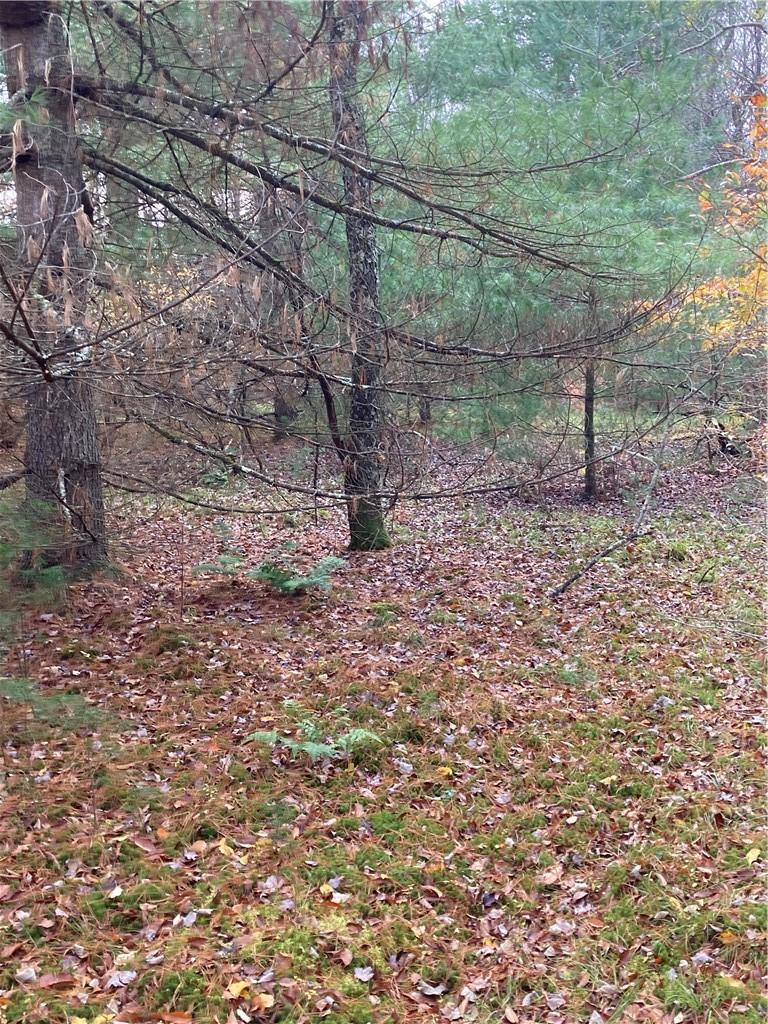 #15 photo, 140 Plank Road, Mongaup Valley , NY 12762