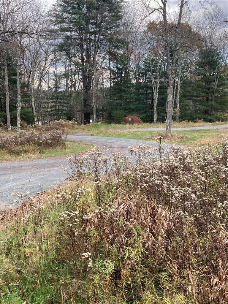 #18 photo, 140 Plank Road, Mongaup Valley , NY 12762