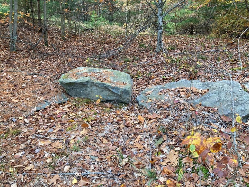 #3 photo, 140 Plank Road, Mongaup Valley , NY 12762