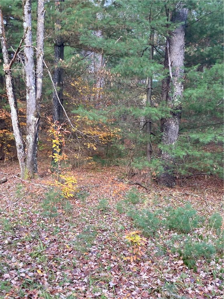 #8 photo, 140 Plank Road, Mongaup Valley , NY 12762