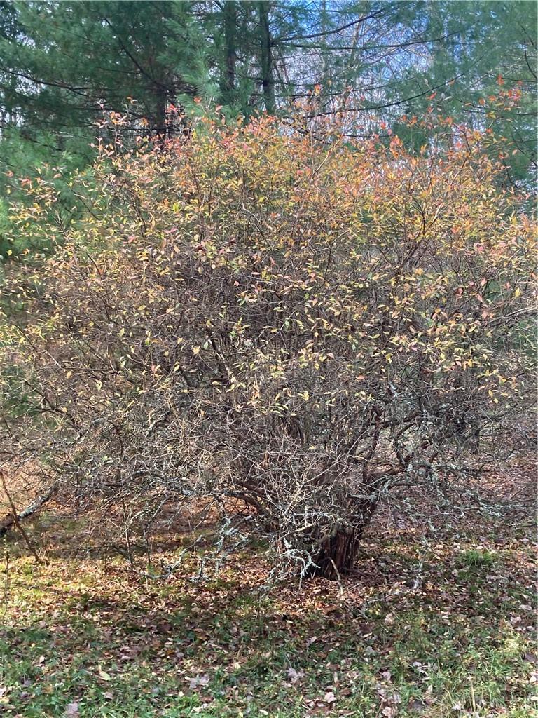 #9 photo, 140 Plank Road, Mongaup Valley , NY 12762