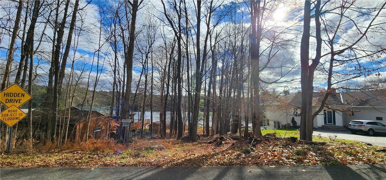 #8 photo, Mongaup Road, Monticello , NY 12701