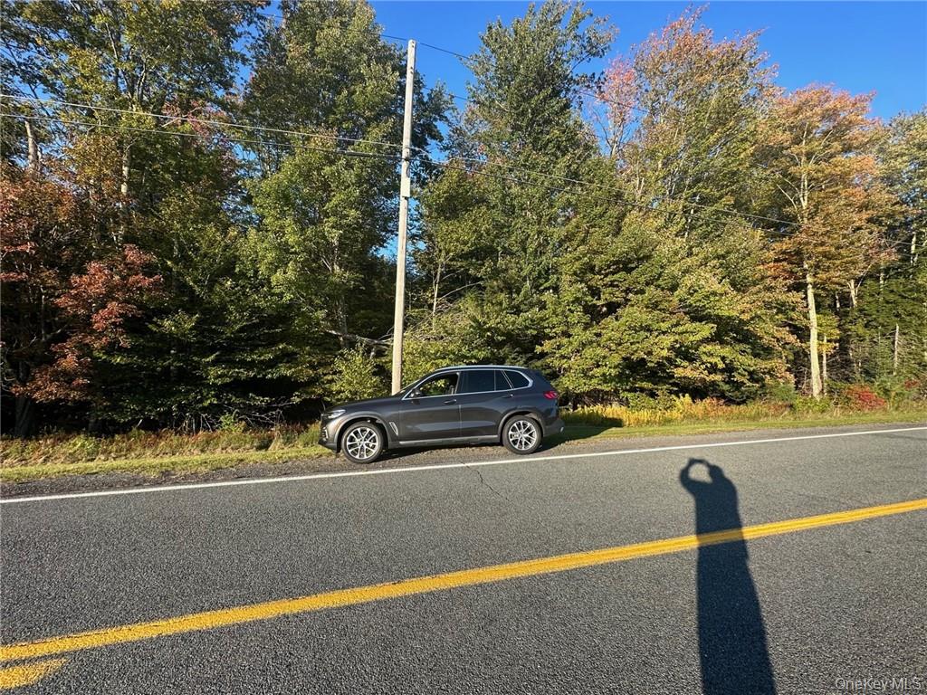 #4 photo, Ulster Heights Road, Fallsburg , NY 12733