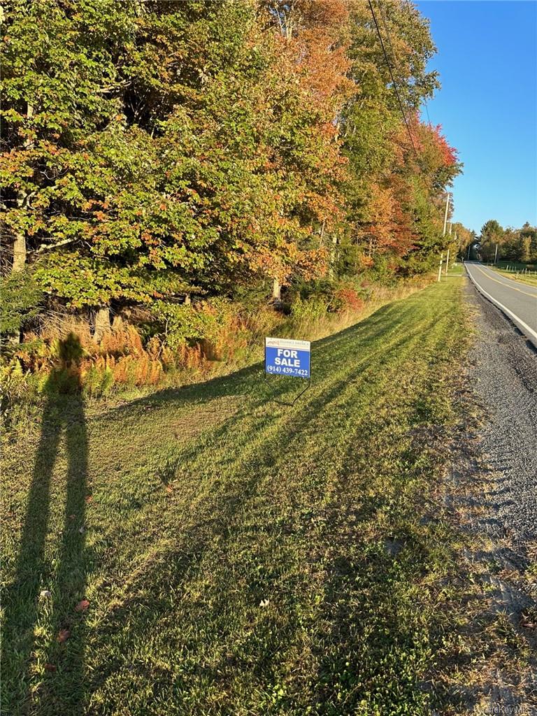 #5 photo, Ulster Heights Road, Fallsburg , NY 12733