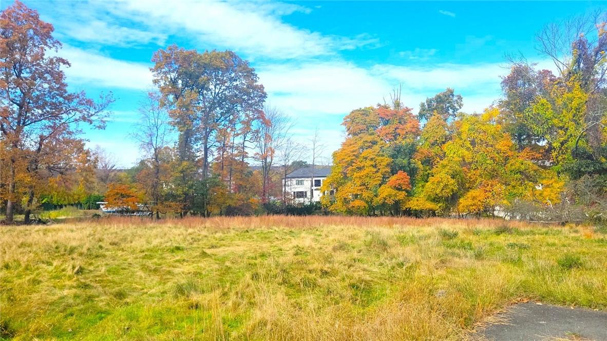 #2 photo, 114 E Willow Tree Road, Spring Valley , NY 10977