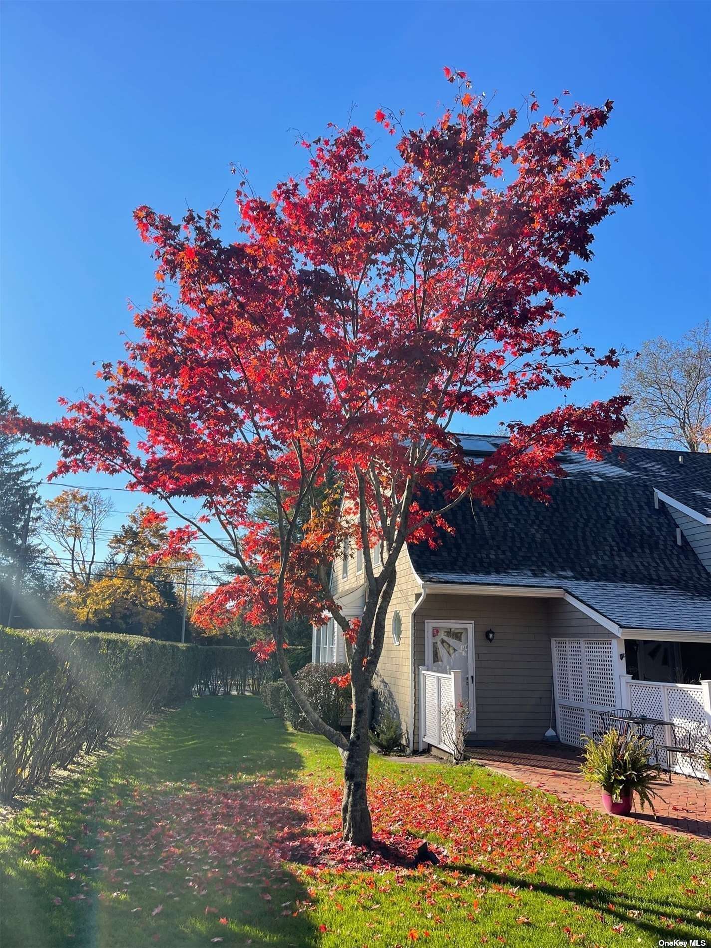 #1 photo, 63 Baycrest Avenue, 东长岛 汉普顿 Westhampton , NY 11977