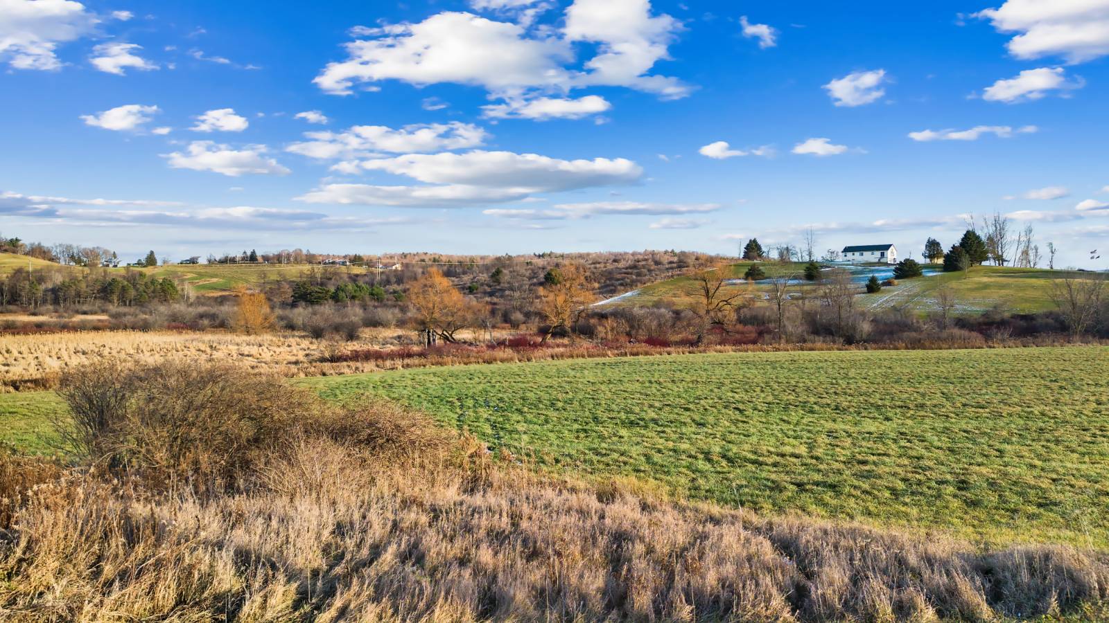 #36 photo, L1 State Route 145, Cobleskill , NY 12043