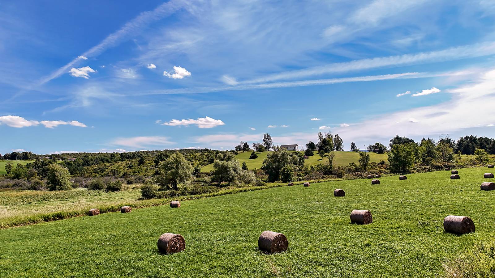 #6 photo, L1 State Route 145, Cobleskill , NY 12043