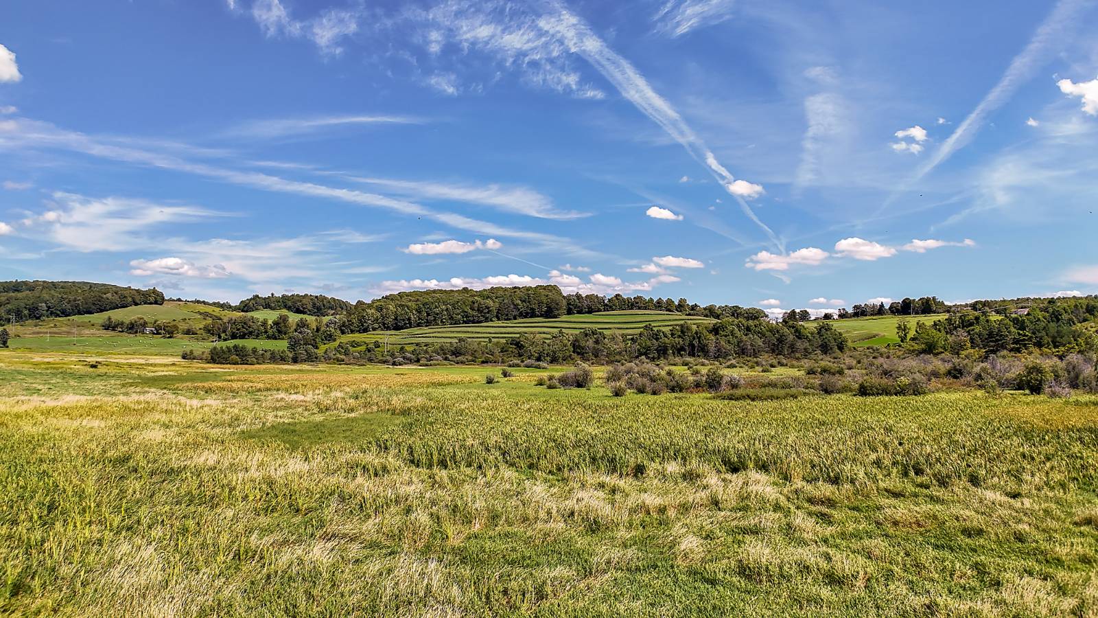 #9 photo, L1 State Route 145, Cobleskill , NY 12043