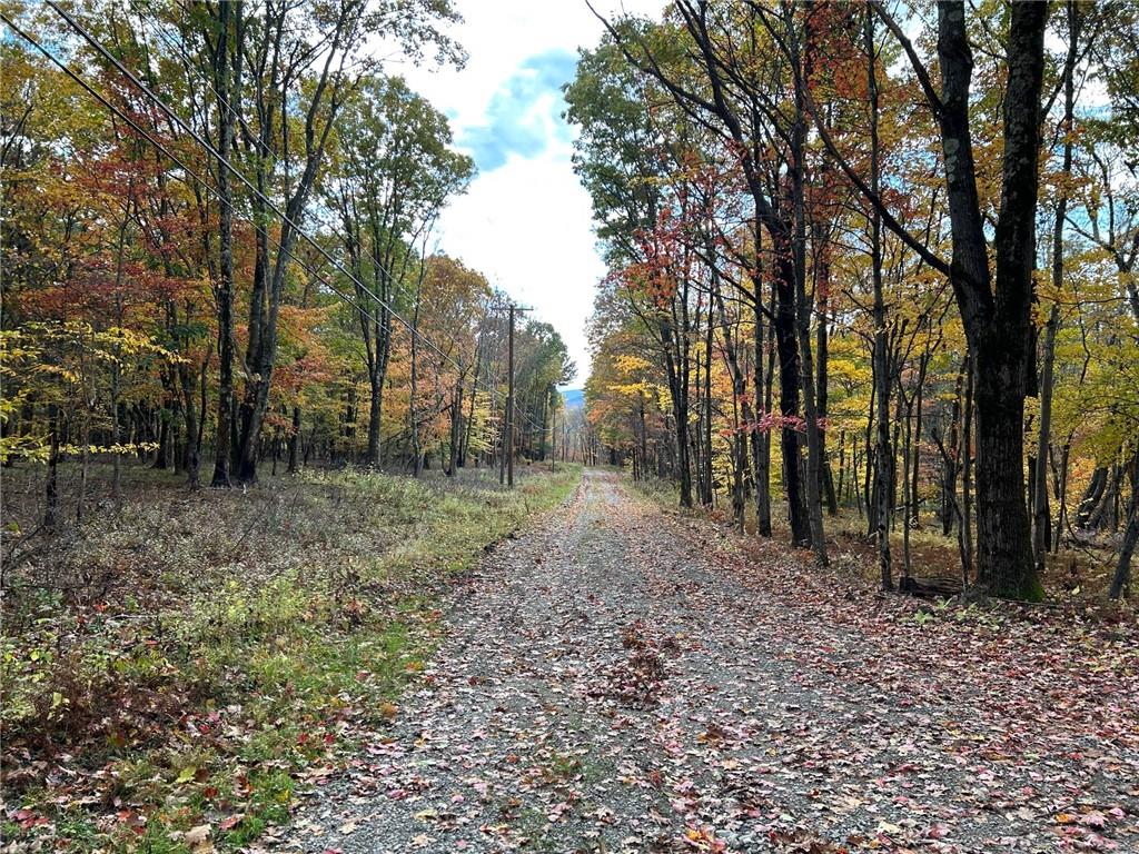 #17 photo, 3 W Hill Road, Austerlitz , NY 12017