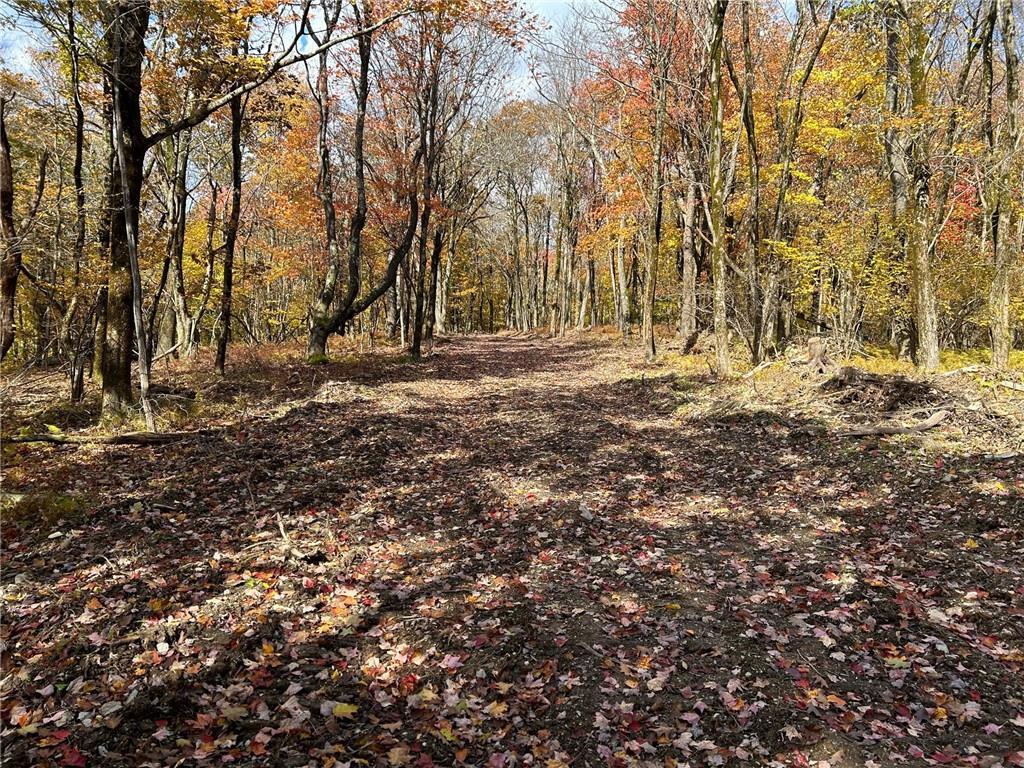 #3 photo, 2 W Hill Road, Austerlitz , NY 12017