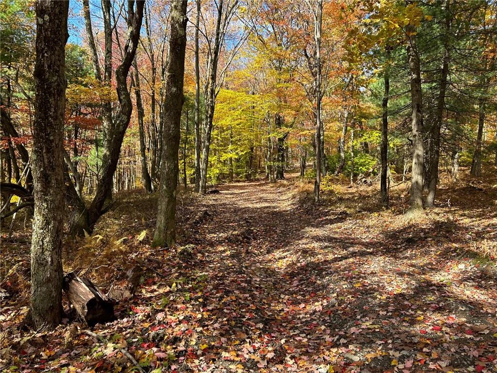 #5 photo, 2 W Hill Road, Austerlitz , NY 12017