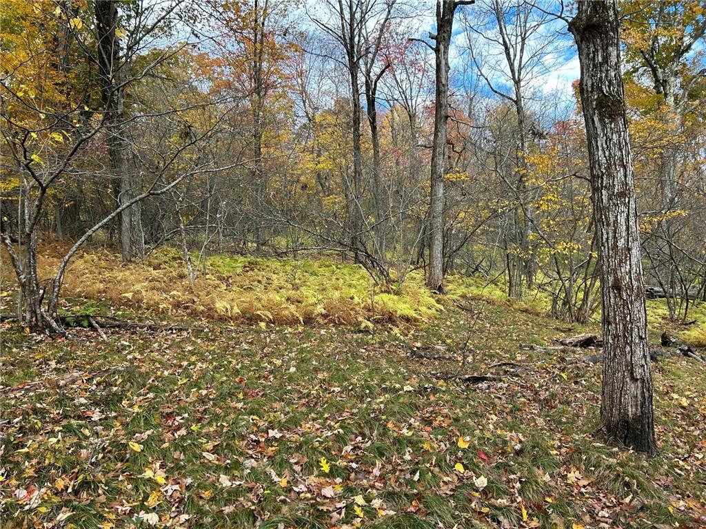 #6 photo, 2 W Hill Road, Austerlitz , NY 12017