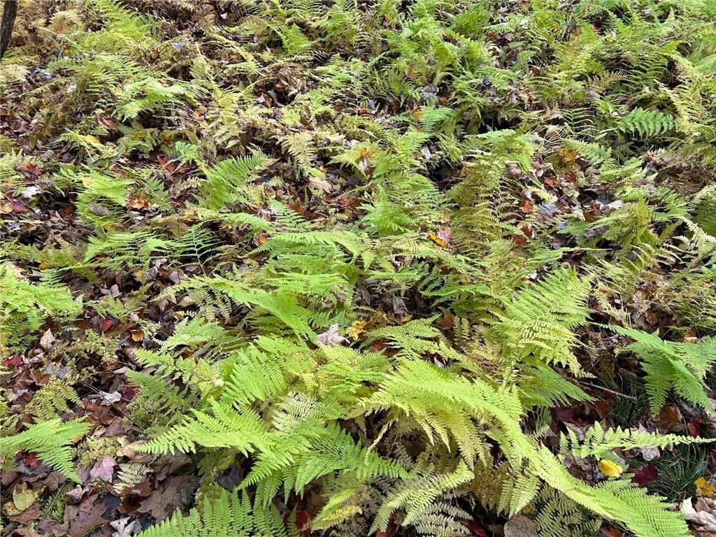 #13 photo, 1 W Hill Road, Austerlitz , NY 12017