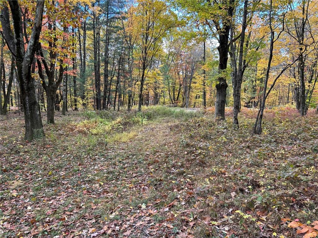 #5 photo, 1 W Hill Road, Austerlitz , NY 12017