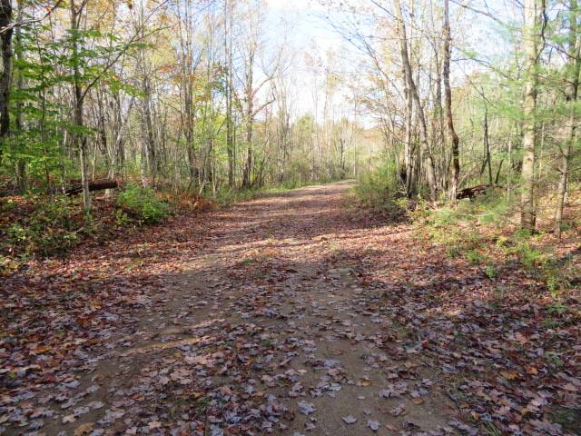 #3 photo, 0 N Croghan Rd, #3, Diana , NY 13665