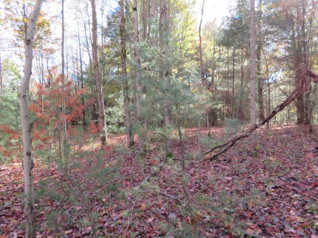 #4 photo, 0 N Croghan Rd, #3, Diana , NY 13665