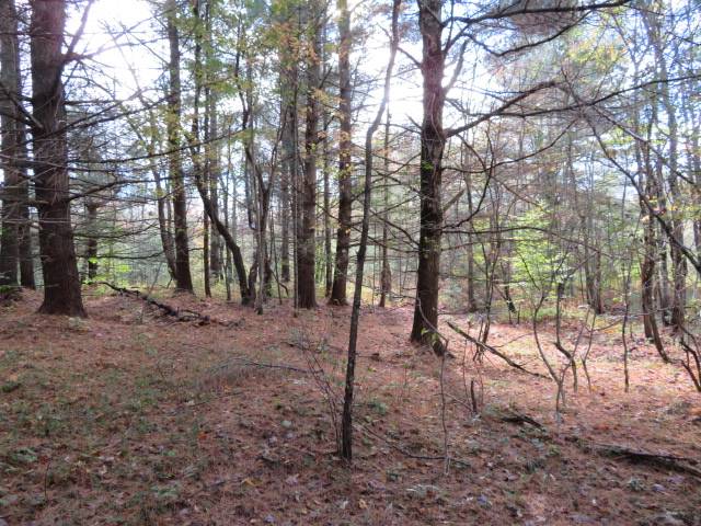 #7 photo, 0 N Croghan Rd, #3, Diana , NY 13665