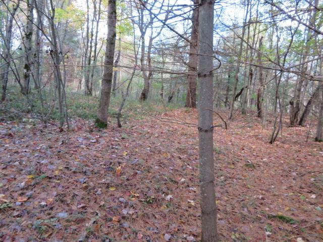 #8 photo, 0 N Croghan Rd, #3, Diana , NY 13665