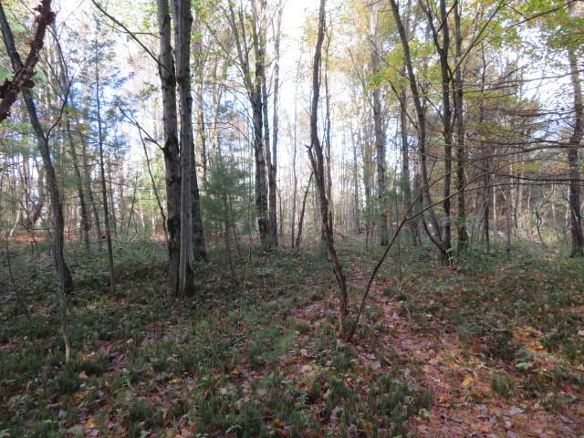 #9 photo, 0 N Croghan Rd, #3, Diana , NY 13665