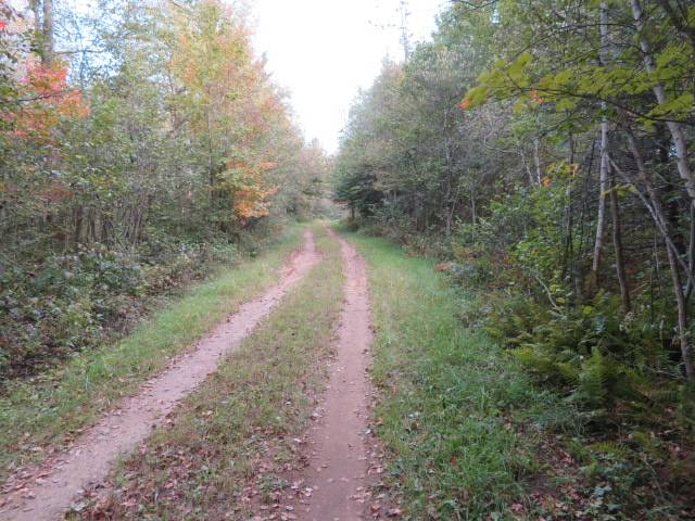 #10 photo, 0 N Croghan Rd, #1, Diana , NY 13665