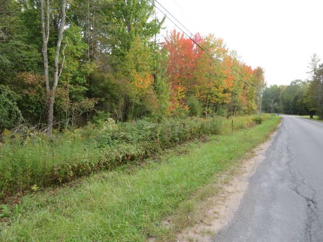 #11 photo, 0 N Croghan Rd, #1, Diana , NY 13665