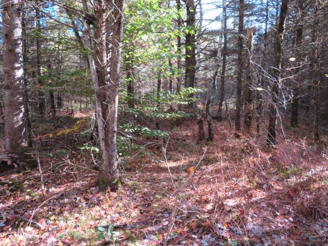 #7 photo, 0 N Croghan Rd, #1, Diana , NY 13665