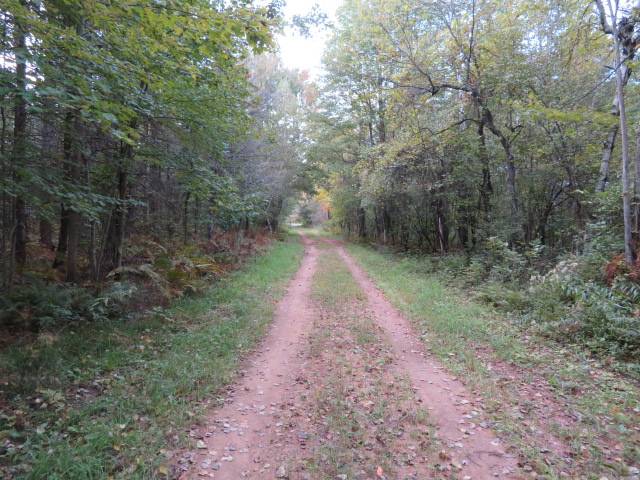 #9 photo, 0 N Croghan Rd, #1, Diana , NY 13665