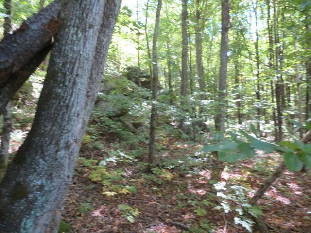 #10 photo, 0 Garrison Rd, #10, Pitcairn , NY 13648