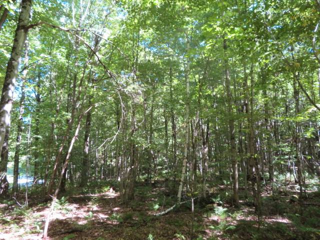 #2 photo, 0 Garrison Rd, #10, Pitcairn , NY 13648