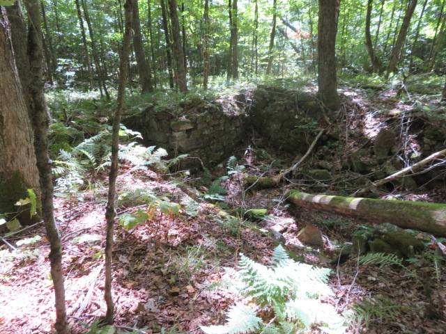 #3 photo, 0 Garrison Rd, #10, Pitcairn , NY 13648