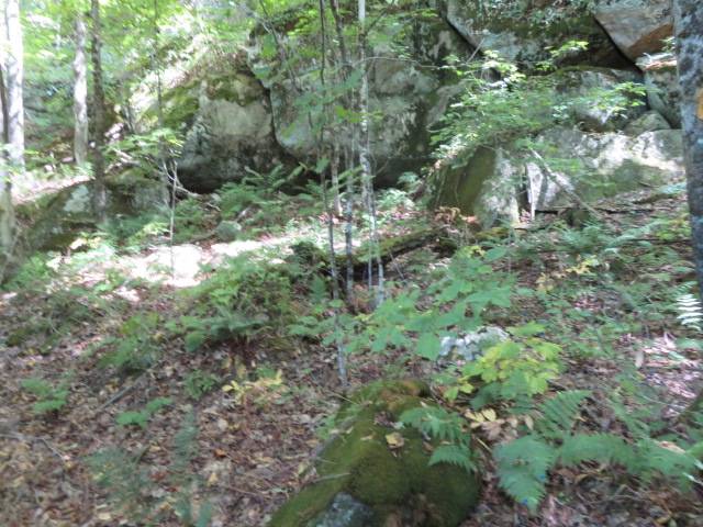 #7 photo, 0 Garrison Rd, #10, Pitcairn , NY 13648