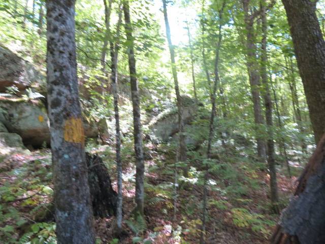 #8 photo, 0 Garrison Rd, #10, Pitcairn , NY 13648