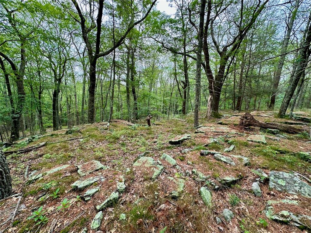 #10 photo, Baran Drive, Glen Spey , NY 12737