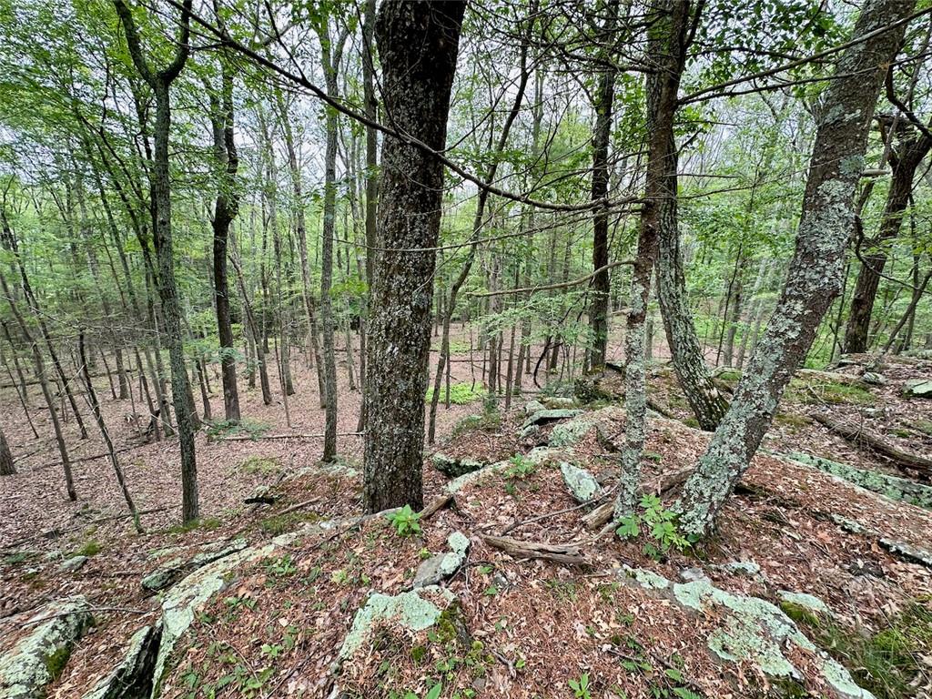 #12 photo, Baran Drive, Glen Spey , NY 12737