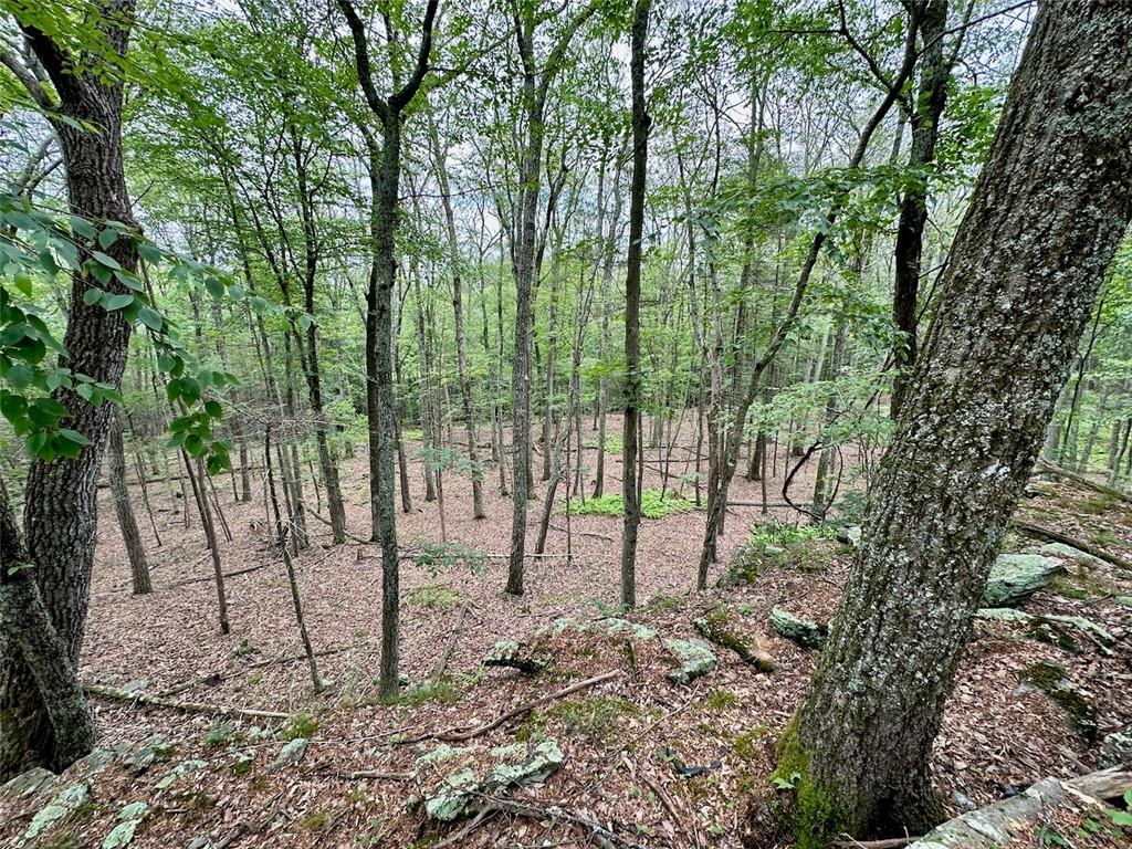 #13 photo, Baran Drive, Glen Spey , NY 12737